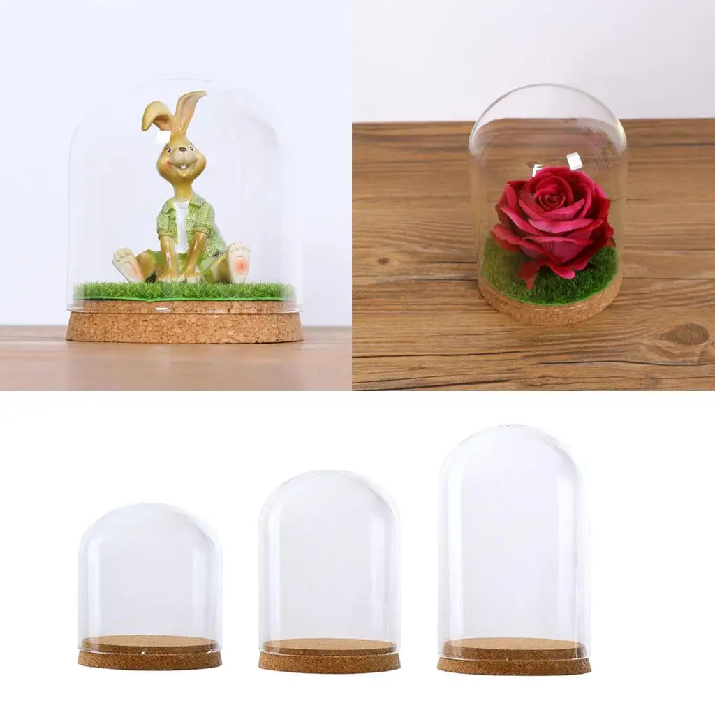 Aesthetic Glass Terrarium Vessel with Cork for Luxury Flower Preservation Vase Display in Living Space