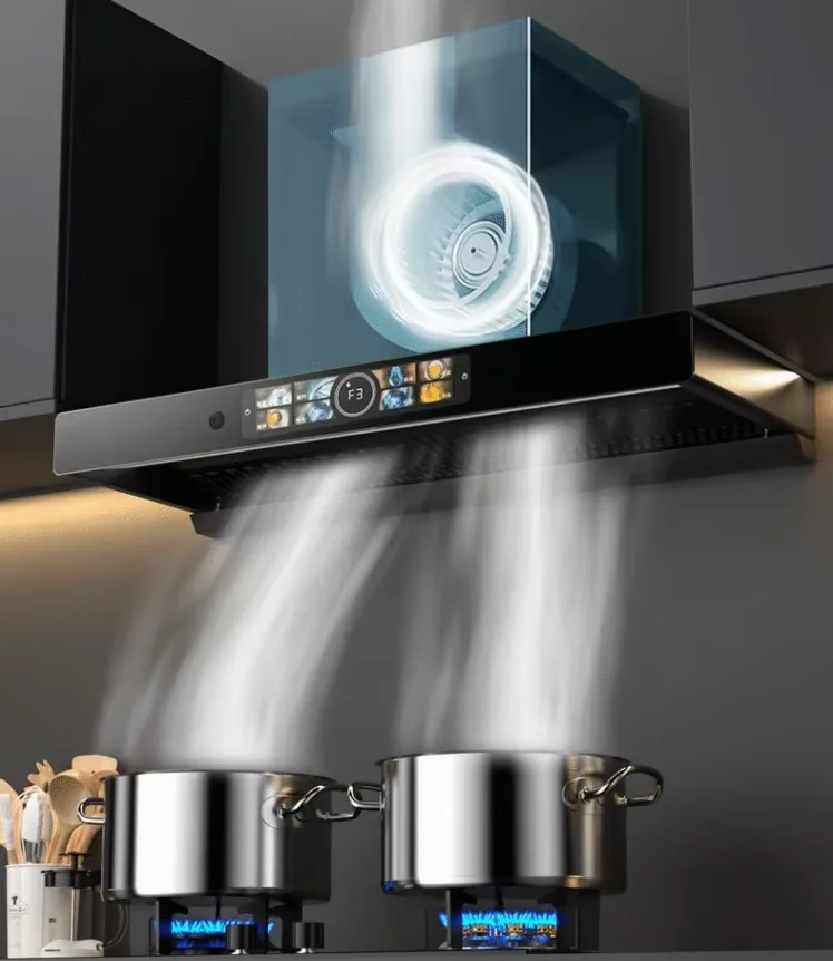 220V Rongsida Powerful Range Hood Kitchen Top Mount New European Style Oil Smoke Extractor K