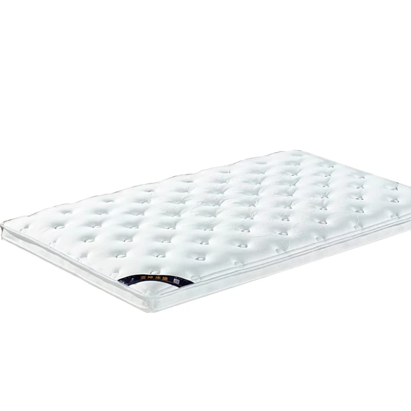 مرتبة أرضية إسفنجية لتقويم العظام متينة مريحة وحديثة قابلة للطي قابلة للطي من فوتون حصير حصيرة وسادة نوم لغرفة النوم والمدرسة المستشفى