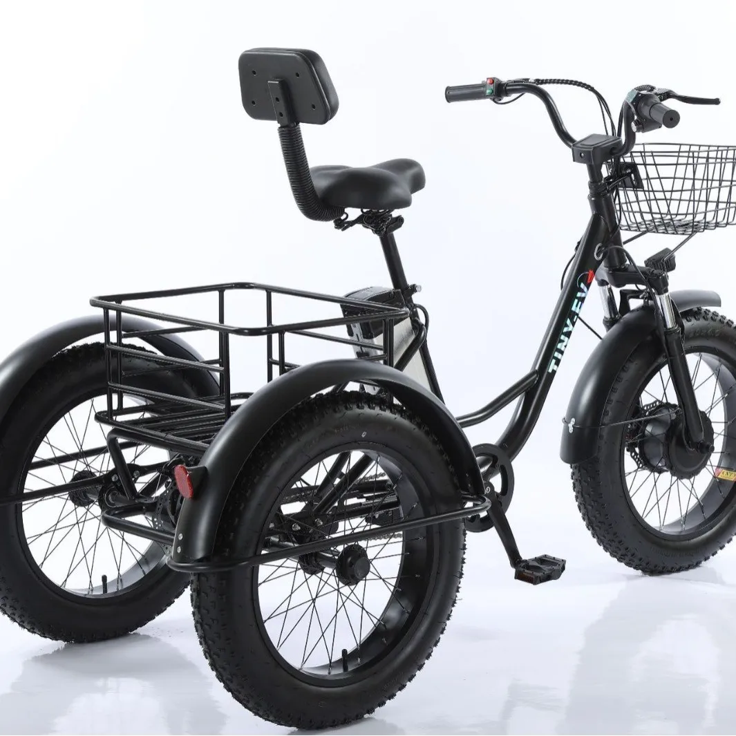 

Blackberry Iron 20-inch Fat Tire Pedal Power Electric Tricycle Rough Tire Snow Lithium Battery Tricycle Battery Car