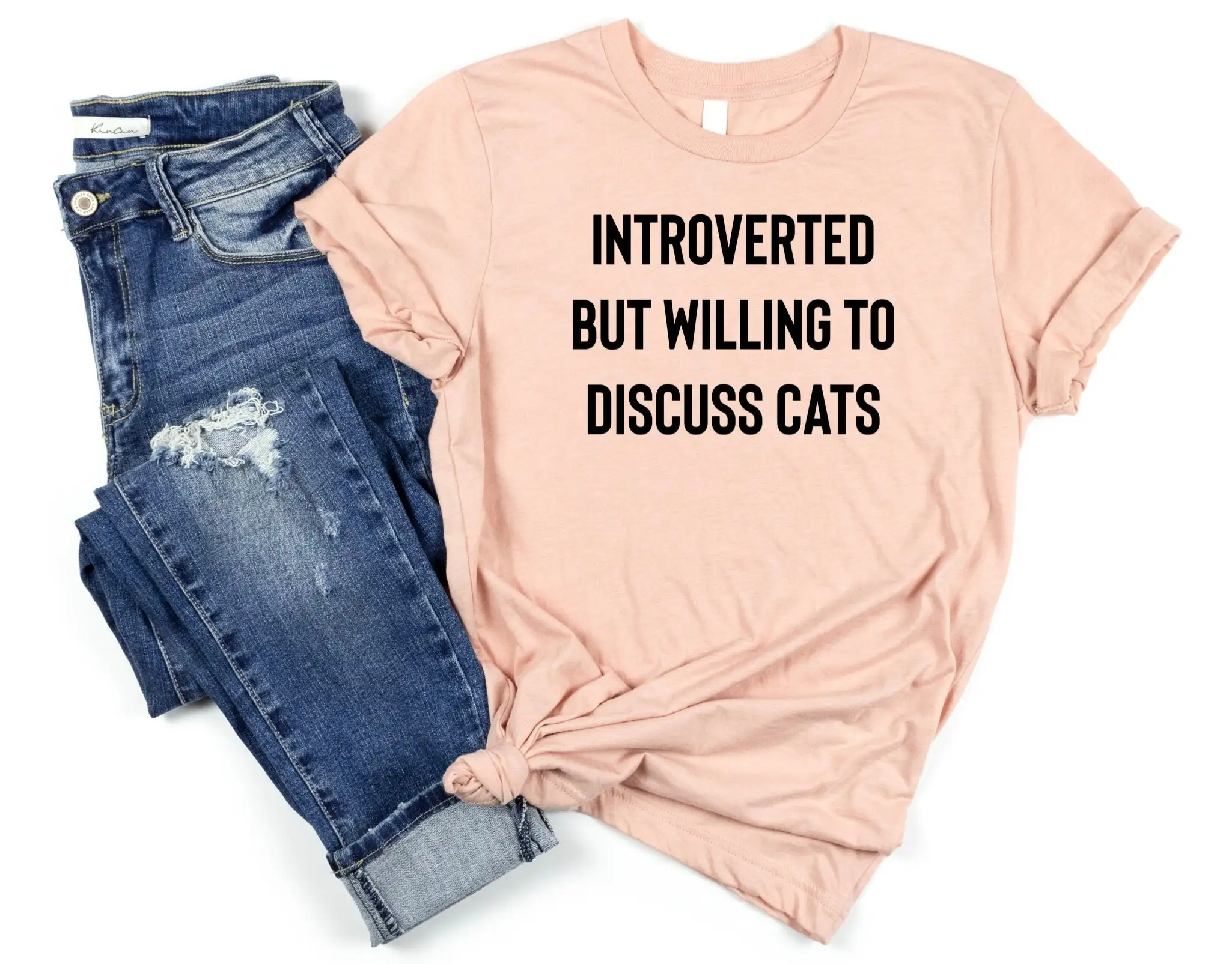 Introverted But Willing To Discuss Cats Cat Lover T Shirt Funny Mama Lady