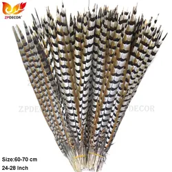 ZPDECOR 65-70CM 26-28 Inch Natural Reeves Pheasant Feathers