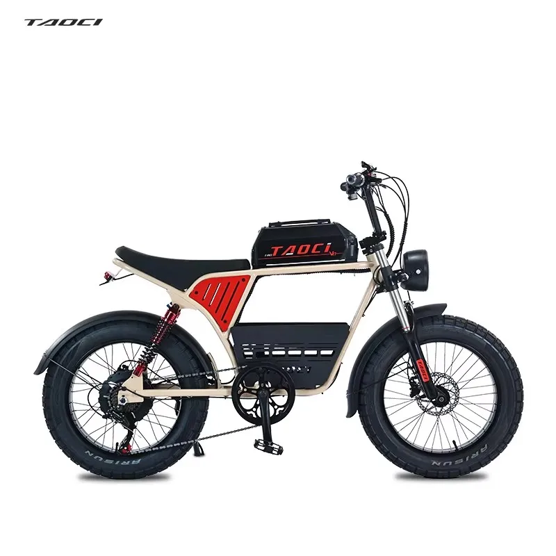 20 Inch Fat Tire Adult Electric Bicycle Mountain 1500W 48V Snow Wheel Electric Bike Off Road Beach Pedal e Bikes With Bag