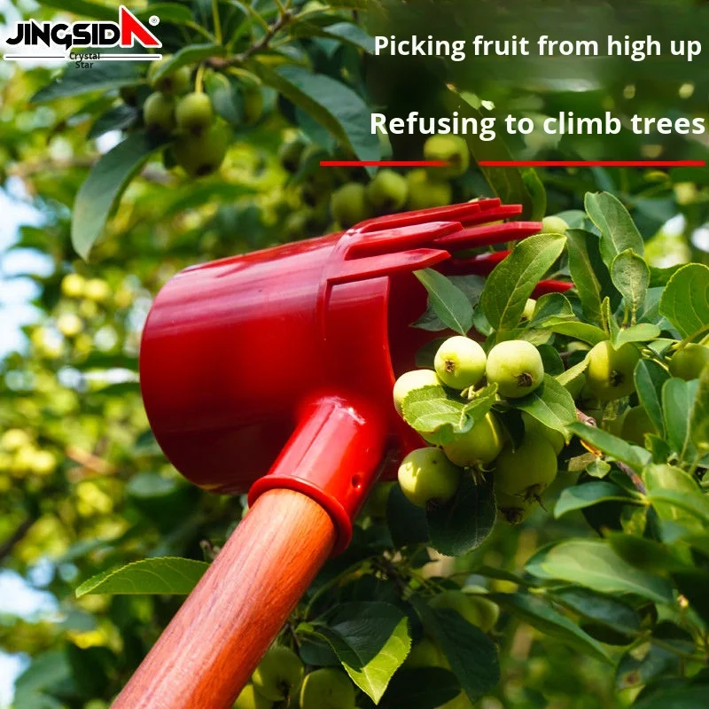 

Новый специальный простой в использовании полный набор инструментов для сбора дикого боярышника Jingsida с гарантией 1 год для фруктов и семян