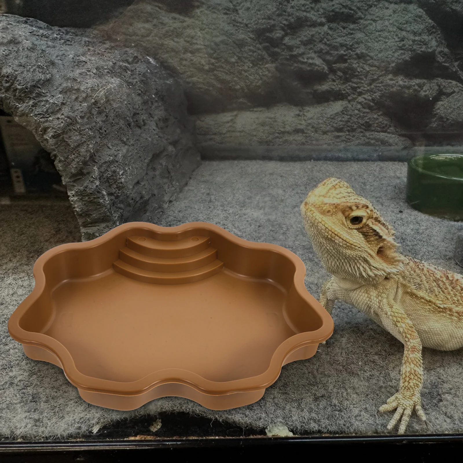 

Reptile Water Bowl Large Capacity Multifunctional Bath Feeding Dish For Turtle Abs Nonslip Bottom Smooth Edges Pet Habitat
