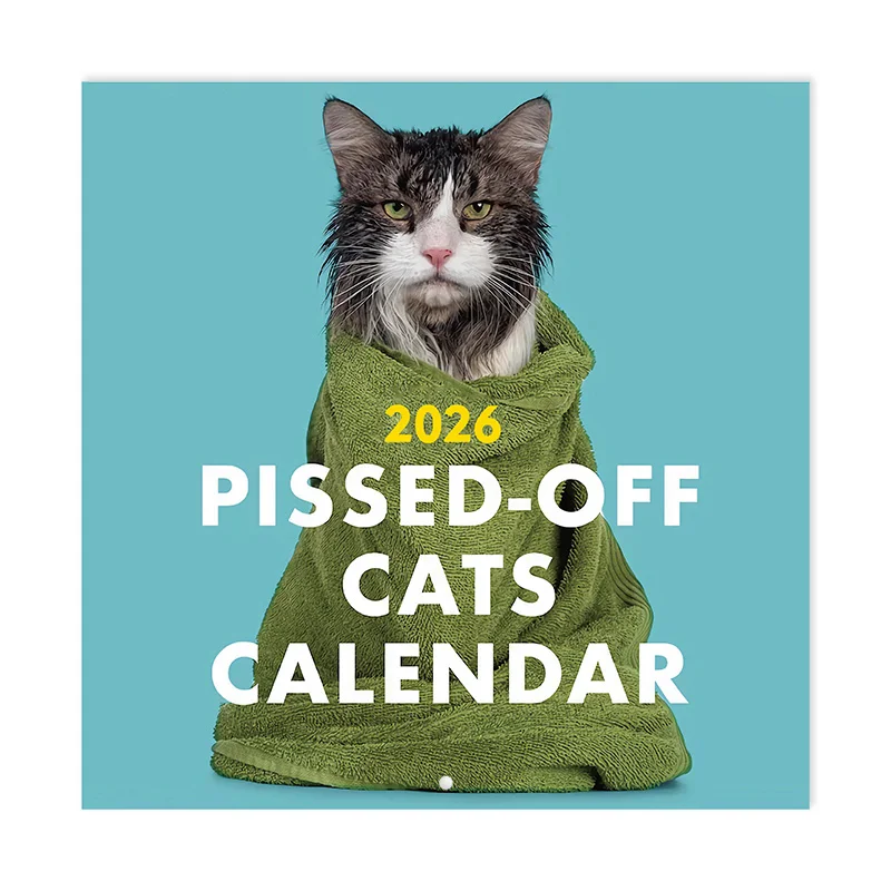 

1 шт. Календарь Pissed Off Cats 2026-12 — Настенный календарь с забавным котом, креативный календарь, календарь с котами на 12 месяцев и уродливым котом для заметок