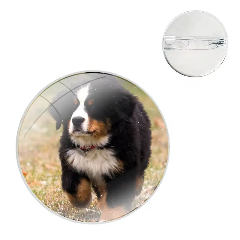 Glass Dome Brooches Shirt Lapel Bag Cute Badge Pins For Clothes Hat Accessories Bernese Mountain Dog