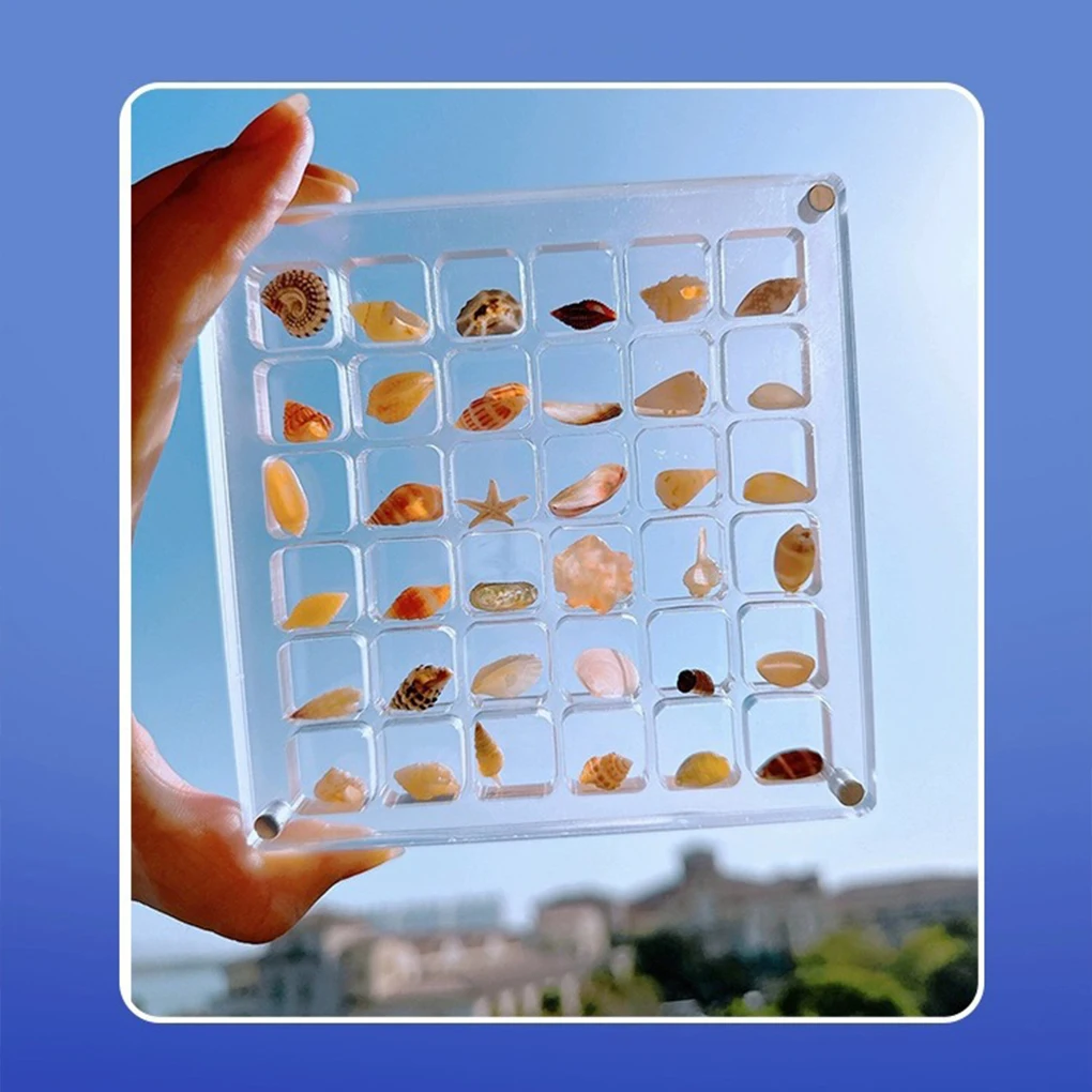 36/64/100 Shells Acrylic Clear Magnetic Storage Box Seashell Display Showcase Mini Jewelry Display Case Organizer Dropshipping