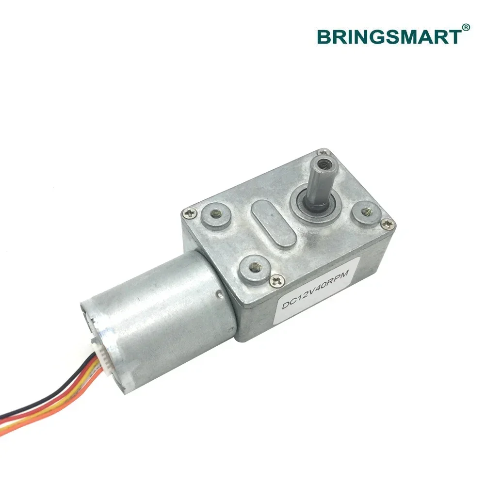 Bringsmart JGY-2430 Brushless 12 Volt 24V DC Worm Gear Motor Self-locking Reversible Brake Speed Measuring Motor Customized