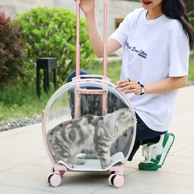 

Tie Rod Cat Bag Transparent Large-capacity Pet Box Going Out Lightweight, Comfortable and Breathable Cat and Dog Bag