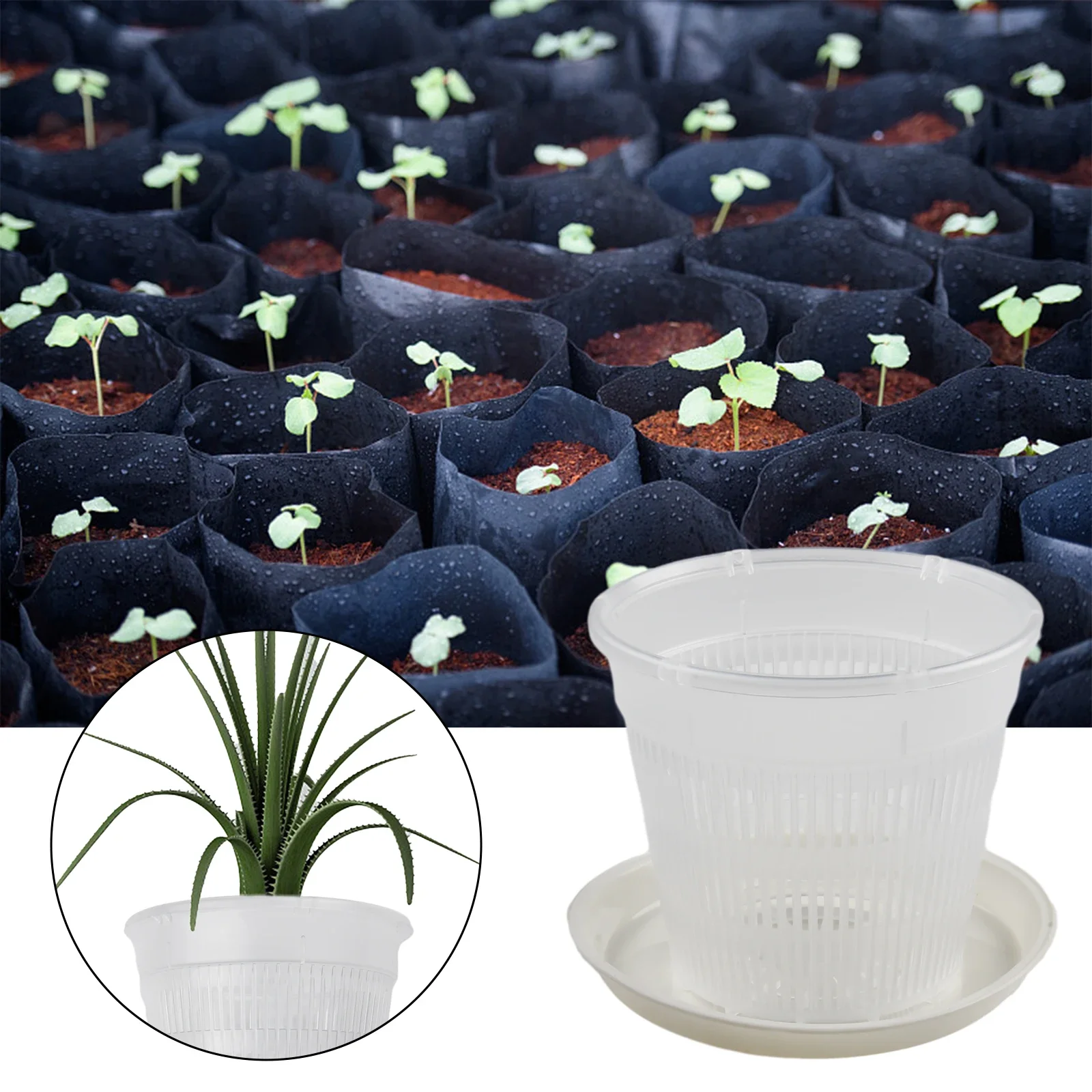 Plant Pot Flower Pot Plastic Pots Orchids Plastic Clear Flower Pot Stand For Milkweed Light-transmitting Moonflower