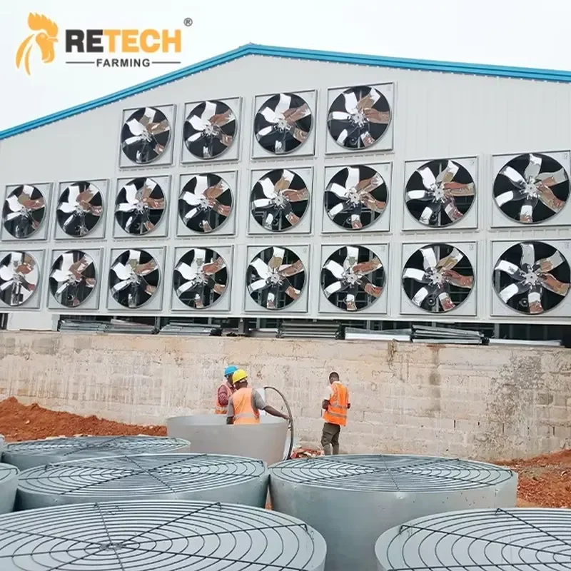 Automatic Chain-type Harvesting System with Fans for Environment Control Broiler Poultry Farm Hot-dip Galvanized