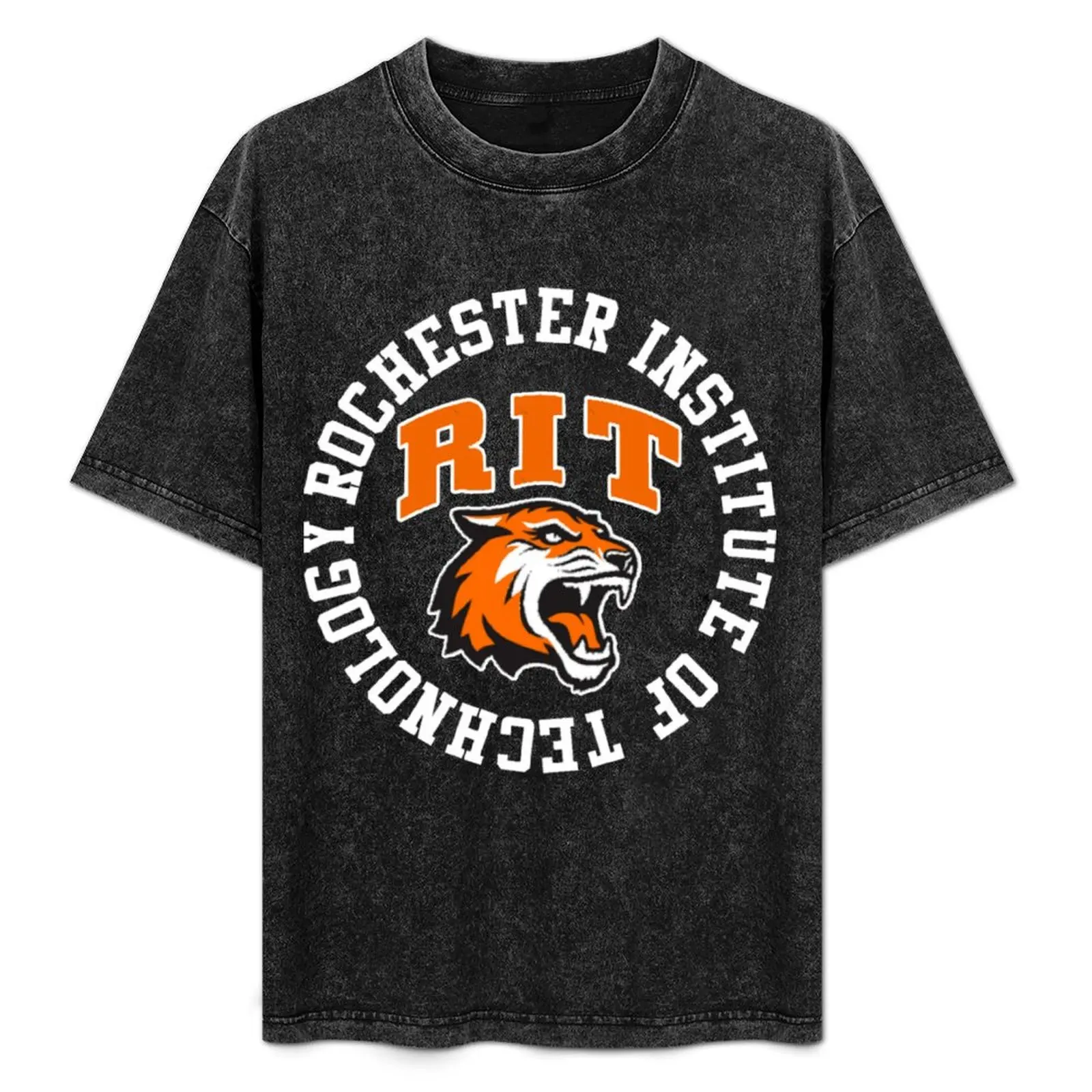 

Rochester Institute T-Shirt Short sleeve tee plain cheap stuff clothes for men