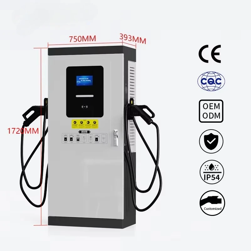 DC Fast EV Charging Station 40kw,60kw,80kw,120kw Floor-Mounted Waterproof Liquid Cooling Double Guns OCPP1.6 CCS2/GB/T