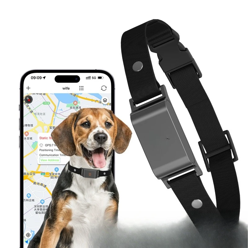 

Collar History Track Electronic Fence 4G Pet Locator
