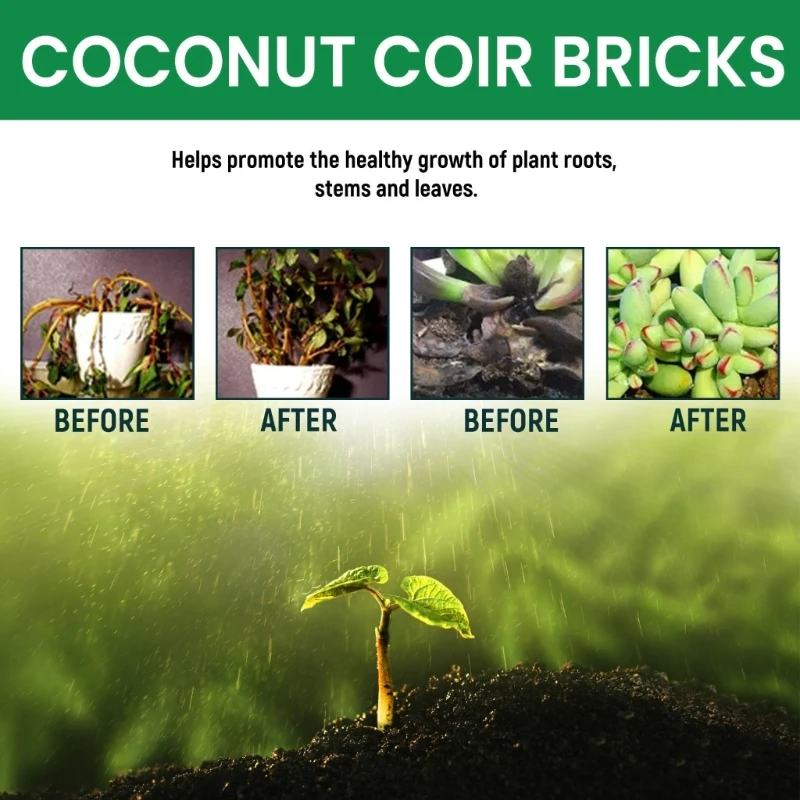 การปลูก Coir Nutrient Soil Substrate มะพร้าว Coir Brick 60g Coir Pellet Soil มะพร้าว Fiber Coir Pellet สารอาหารมะพร้าว