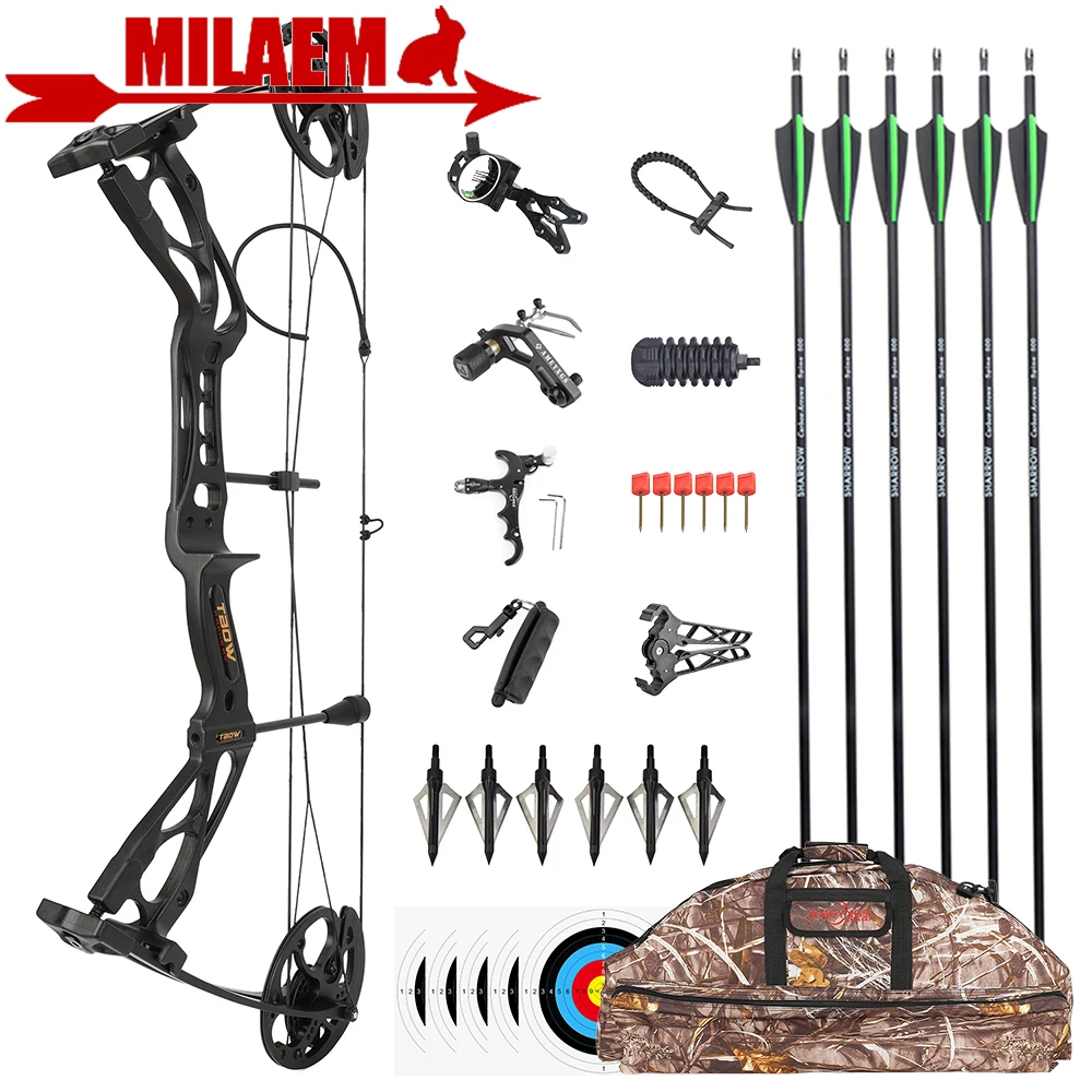 0-70 lbs Compound Bow Carbon Arrow Set Aluminum Alloy Riser Archery Pulley Bow Right Hand Shooting Hunting Bow