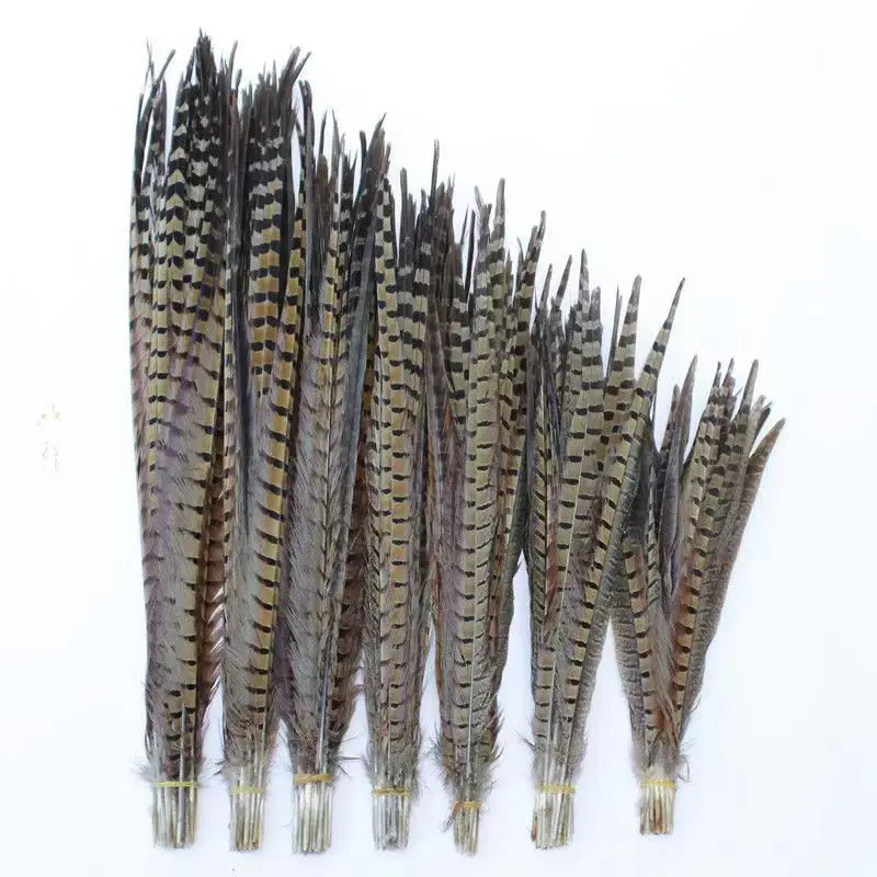 10-100cm DIY Natural Pheasant Copper Chicken Tail Extra Long Feather