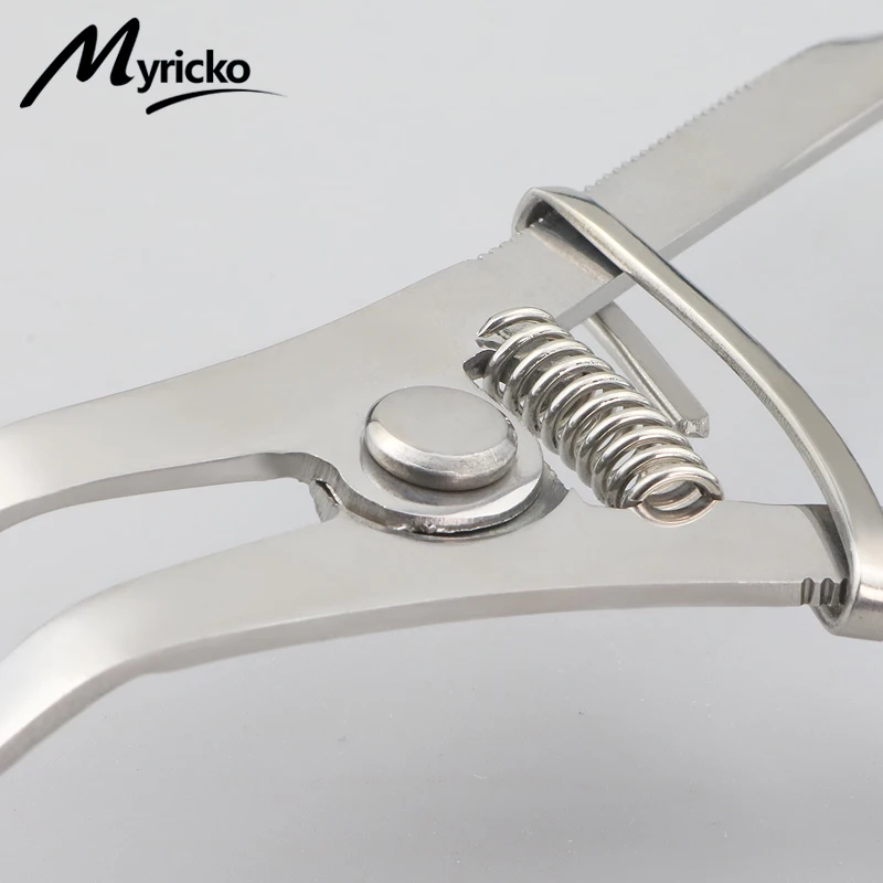 Dental Rubber Dam Clamps Ivory Clamp Forceps Light Weight Ivory Clamp Stainless Steel Dental Restorative Instruments