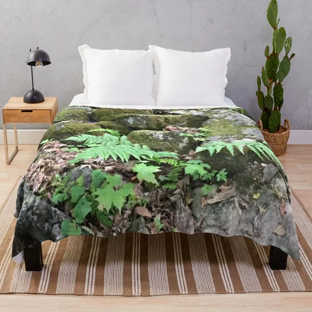 

Fern Forest Floor / Mossy Cover / Rocks / Lush Plants Throw Blanket blankets and throws Soft Beds Blankets