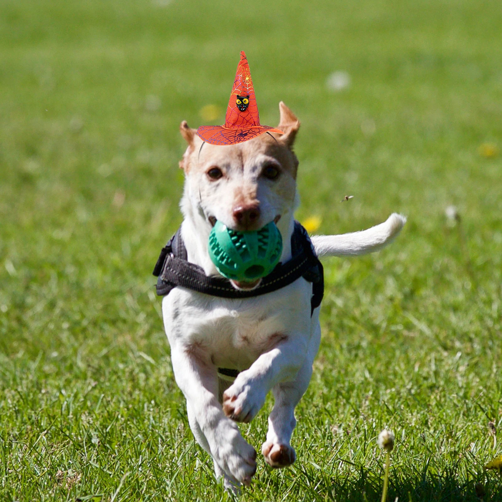 

2Pcs Pet Witch Hat Headband Halloween Festival Themed Dog Cat Headdress Photography Prop Pet Halloween Hair Accessory