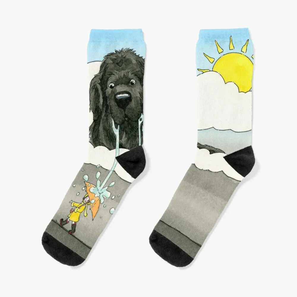 

Newfy in the Sky Socks gift designer gym Socks Male Women's