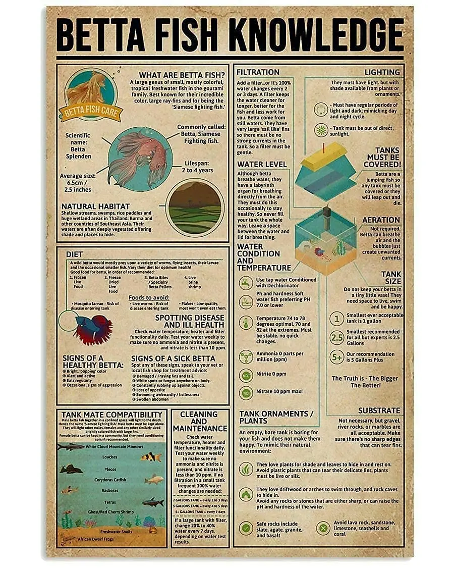 Plaque d'affichage rétro Veidsuh Betta Fish Knowledge pour la décoration murale des clubs, cafés, bars, maisons et cuisines