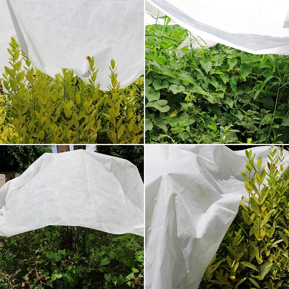 Plant Protective Cover Agriculture Gardening Pest Control Freeze Net Fruit Tree Protection Net Garden Flowers Pest Control Net