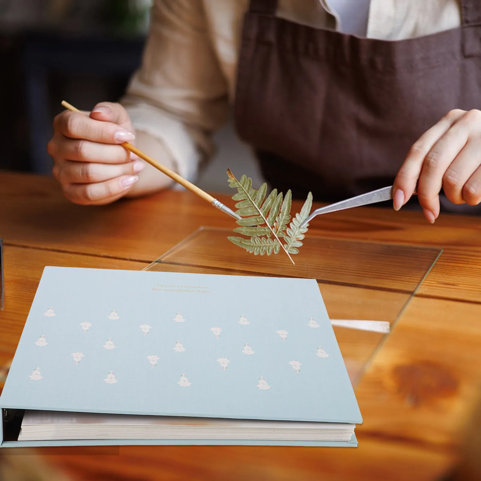 pressed-flower-storage-album-botanical-collection-book-diy-craft-scrapbook-for-preserving-leaves-flowers-specimens-herbarium
