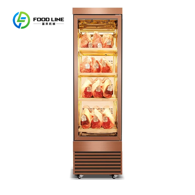 Customized Multi-Function Beef Ripening Dry Wet Acid Removal Cabinet, Constant Temp Refrigerator Restaurant Storage