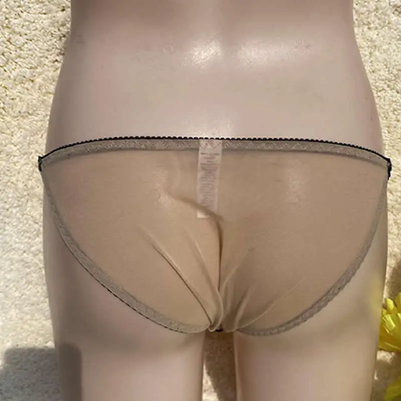 Camel Toe Control Panty Gaff Tucking Panties Sheer Sissy Lingerie Crossdresser Transgender Shemale Drag Queen Briefs