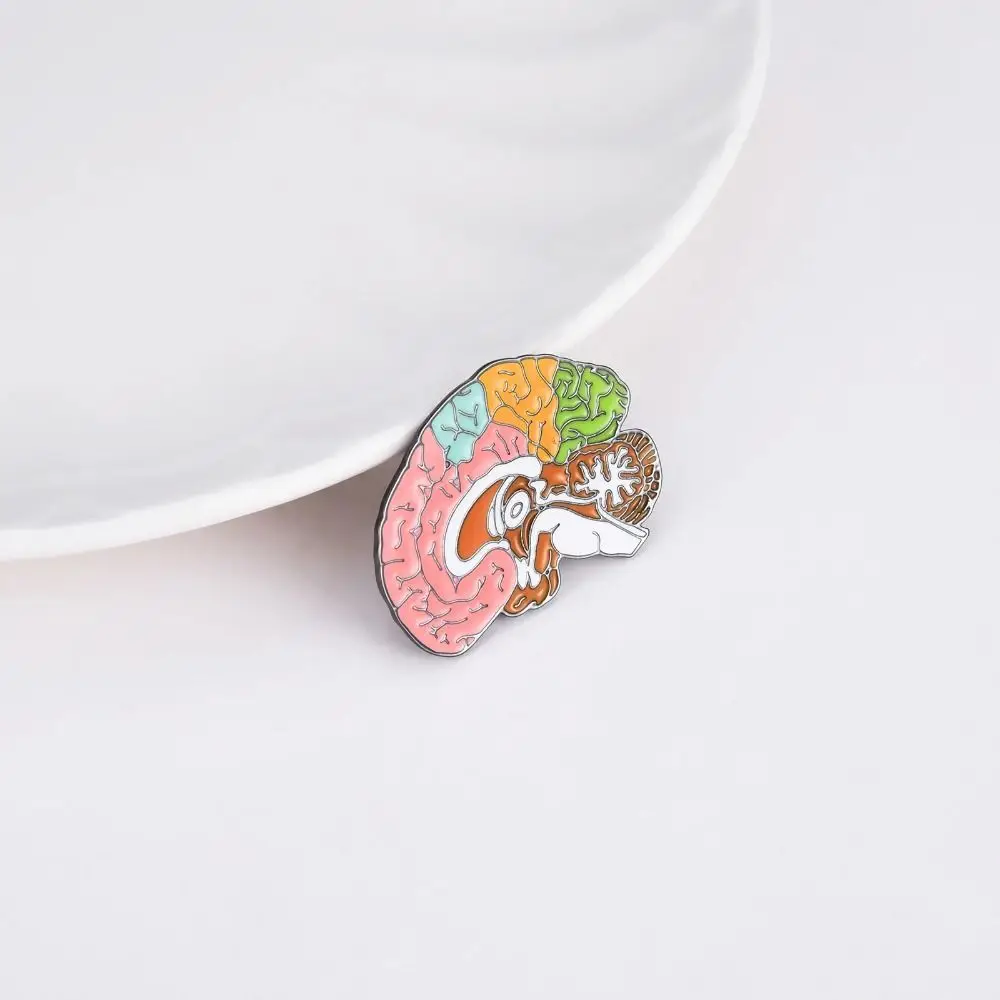 Delicate Anatomy Medicine Brain Brooch Small Badge Corsage Medicine Jewelry Cute Collar Pin Badge Creative Brooch Doctors