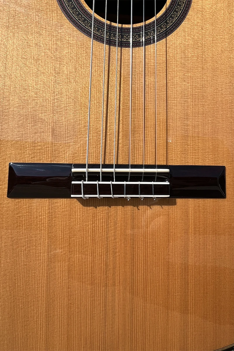 Aiersi  Music Musical Instruments All Solid Cedar Top Rosewood Classical Guitar with High Quality