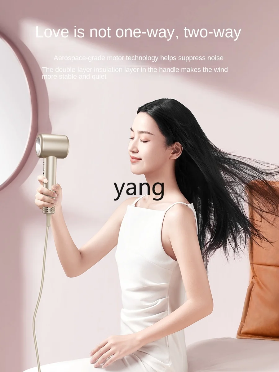 L'm'm High-Speed Hair Dryer Household Large Wind Anion Hair Care Hair Dryer