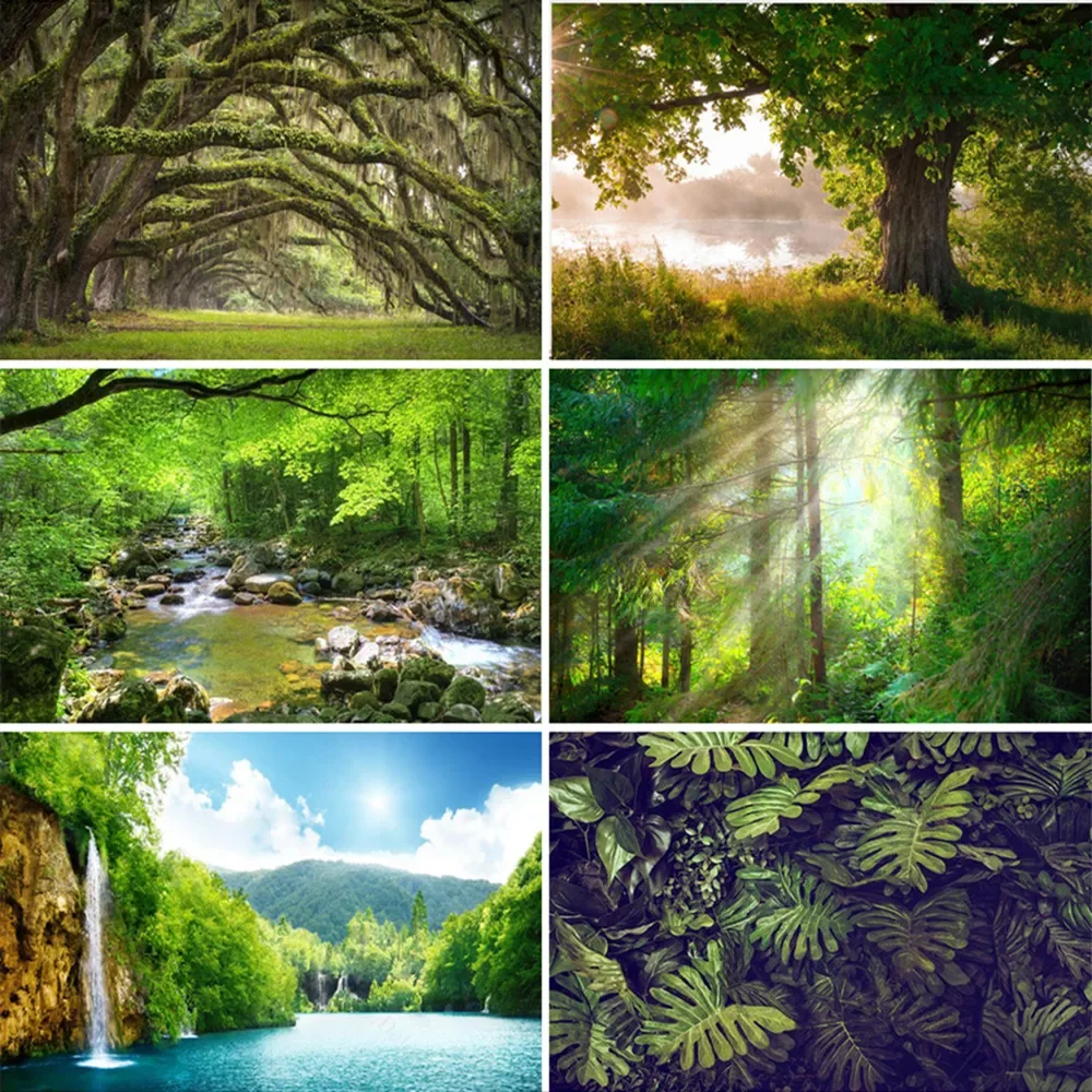 Póster de murales de bosque Natural, paisaje, luz solar, arte, decoración del hogar, imagen, sala de estar, árbol, paisaje marino, papel tapiz, foto