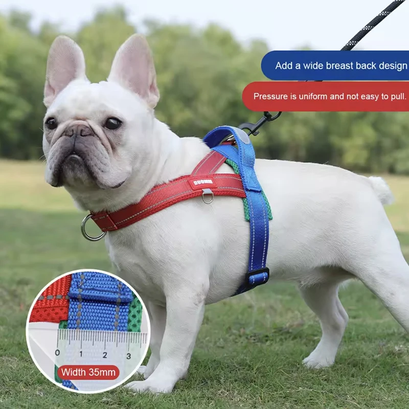 Thumbnail 2 - #76 Latest Puppy Harnesses Offers