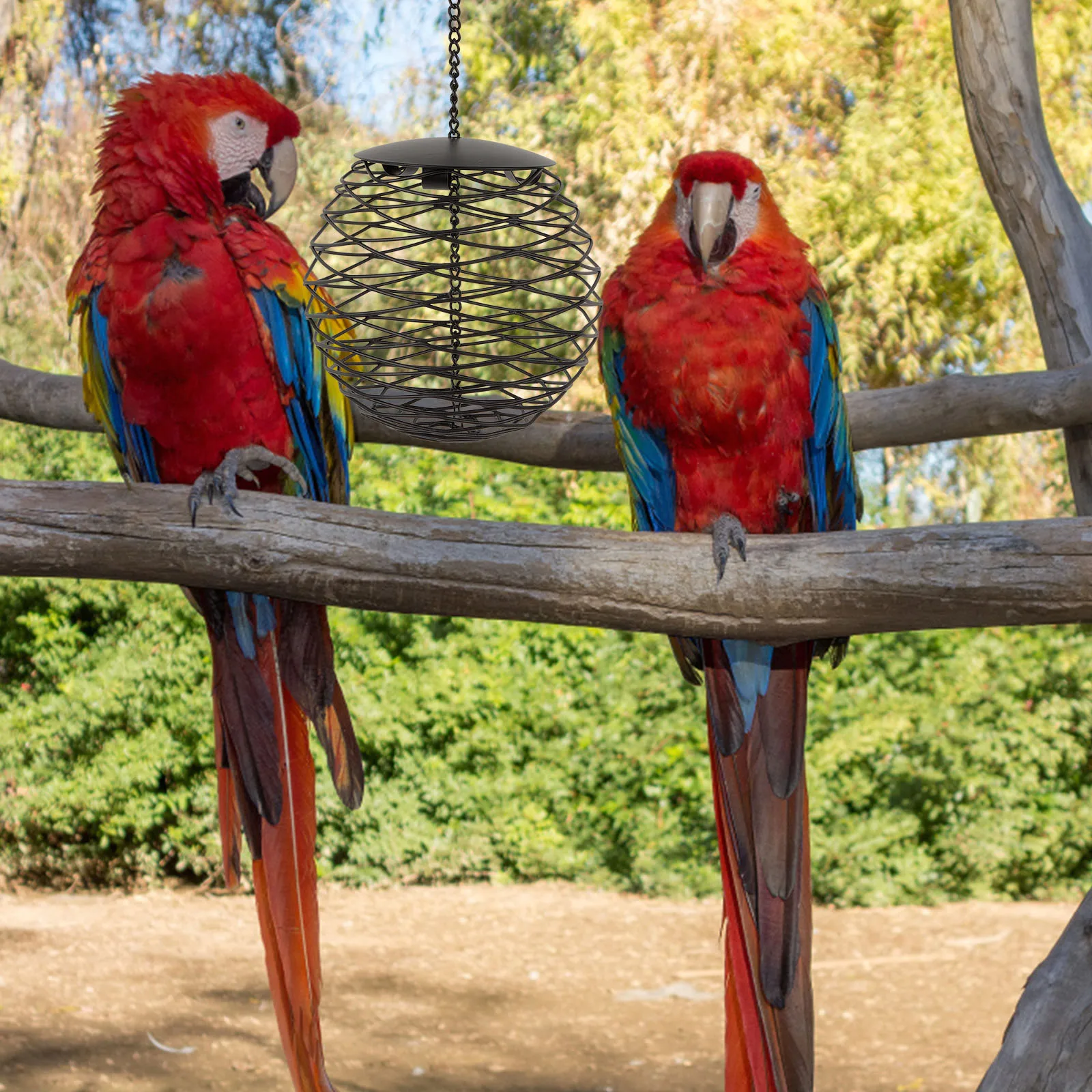 

Swing Hanging Bird Feeder Durable Outdoor Garden Decorative Feeding Supply Easy Cleaning Bird Feeder Birds Feeding Tool