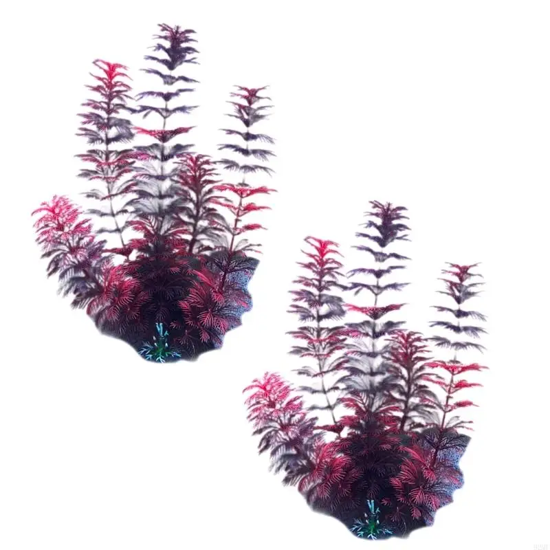 92MF Аквариумы.