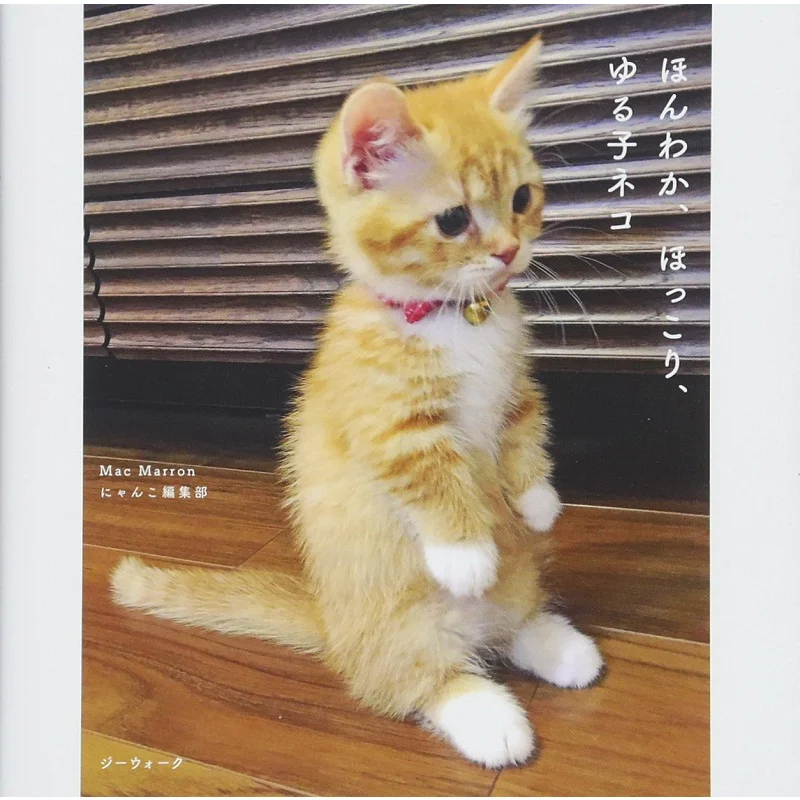 

Honwaka Hokkori Yurukoneko Mac Marron Longlandjay 9784862977717 Book