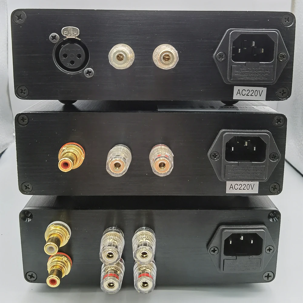 For Danish Digital Power Amplifier Module ICE Power 125ASX2 Fever HIFI Stereo Multi-channel Power Amplifier ICE125ASX2