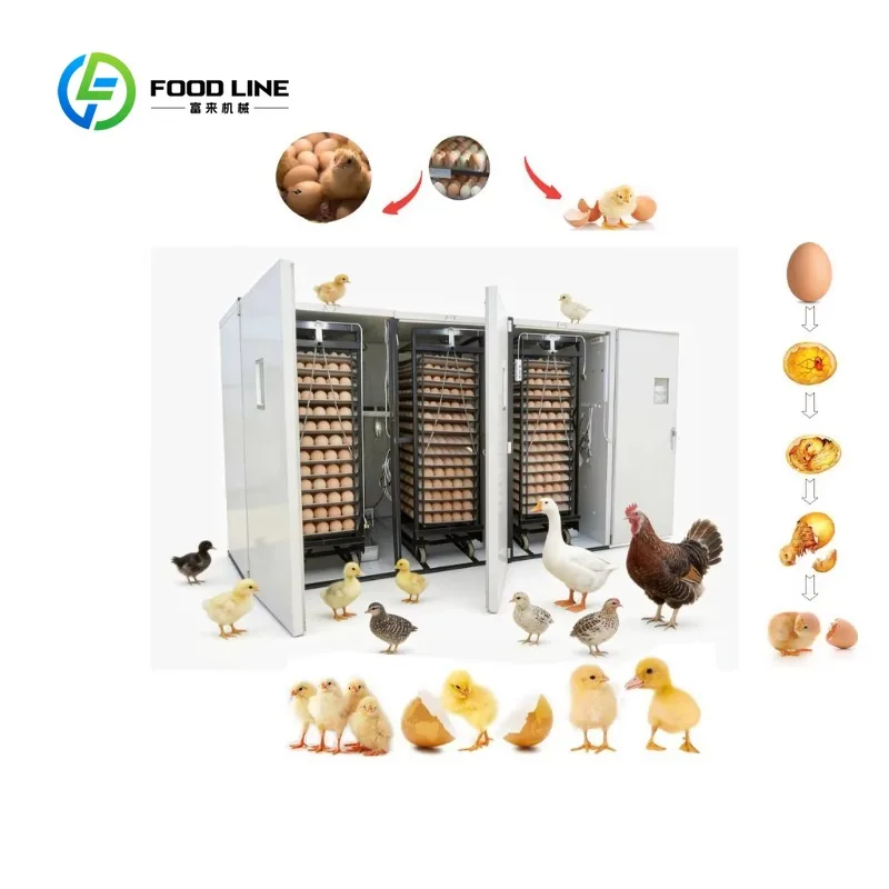 Egg Automatic Commercial Poultry Incubator Precise Control High Hatching Rate Customized for Professional Poultry Breeding