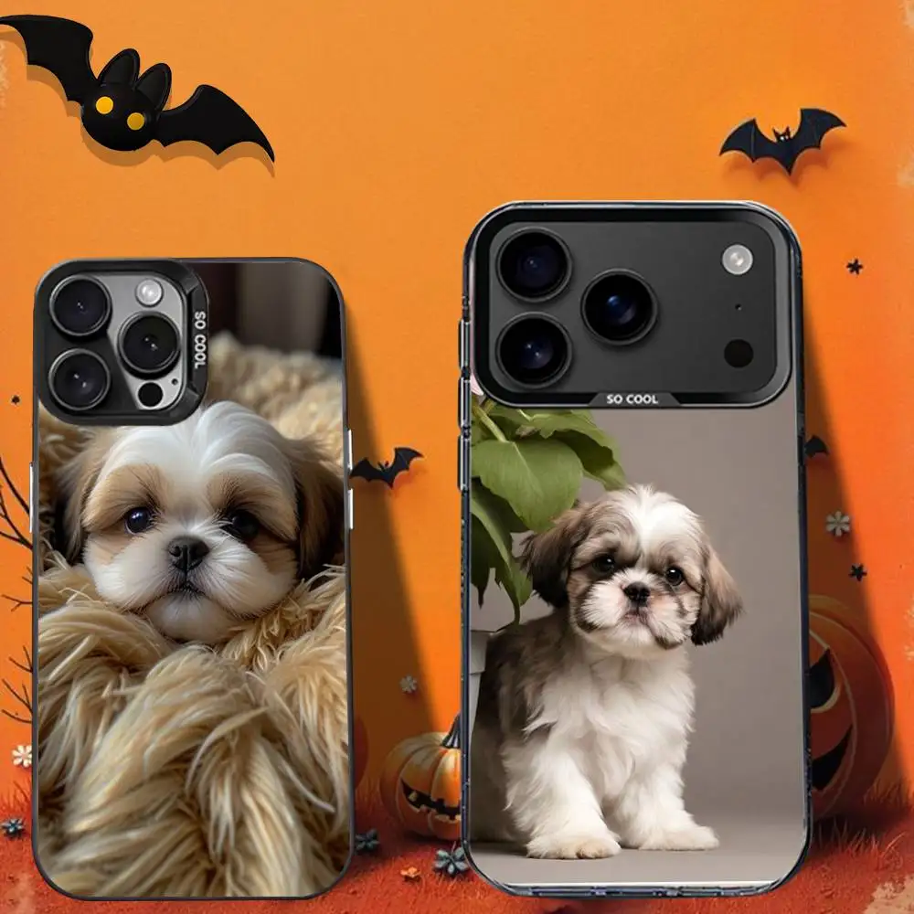 Cute S-Shih Tzu Dog… - image