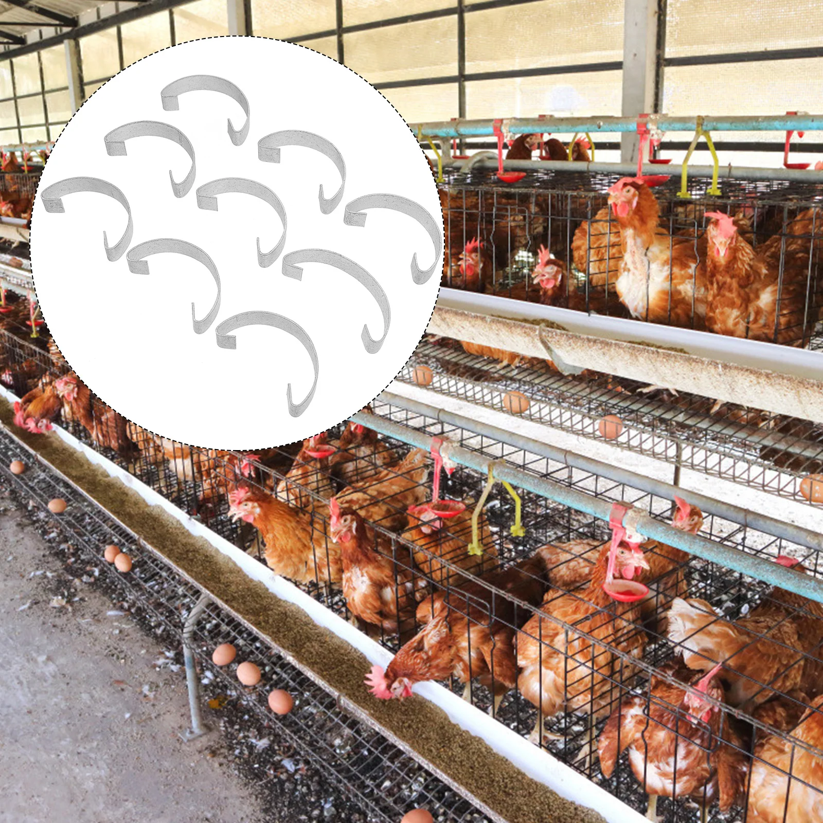 

20 Pcs Chicken Cage Door Slice Bird Building Supplies Kit Hook Thicken Accessories Stainless Steel Clip Replacement Parts Coop