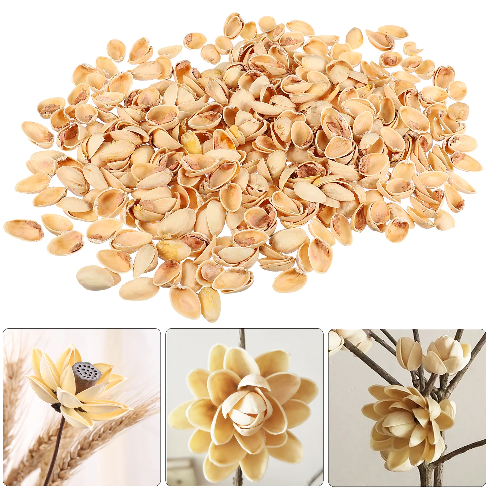 

Big Handmade Materials Pistachio Shells Crafts DIY Crafting Supplies Kids Art Projects Jewelry Kit Creative Activities