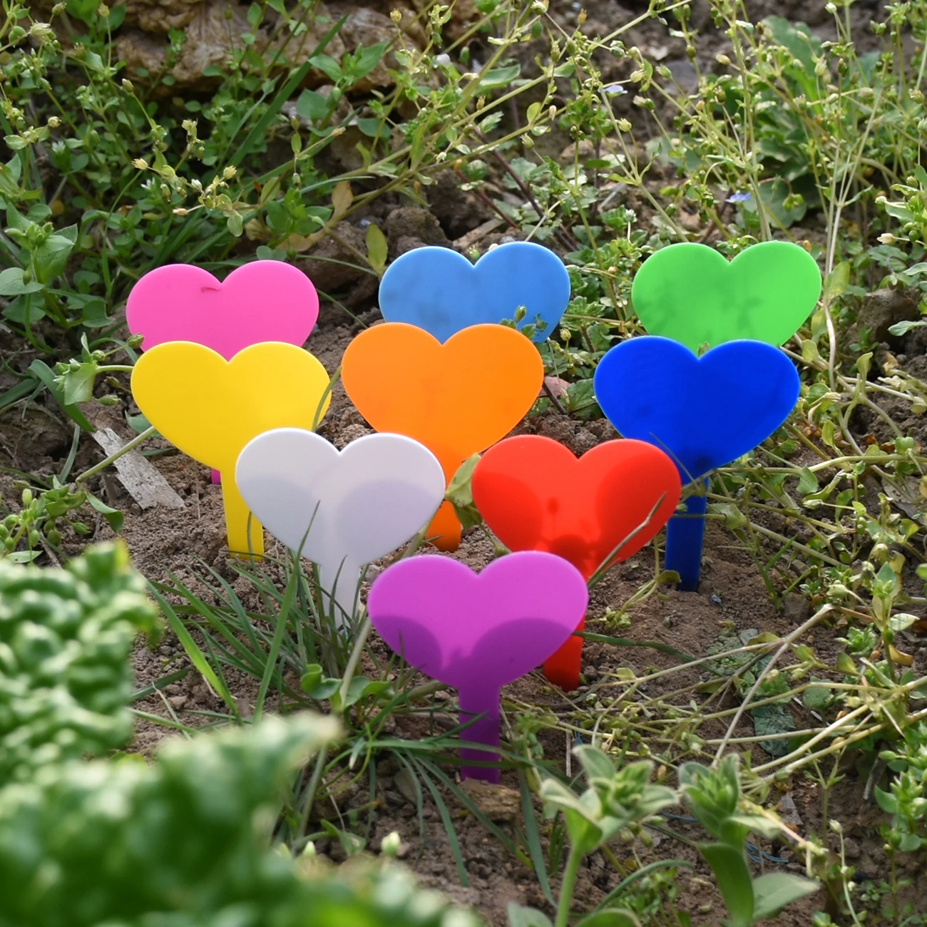 50PCS etichette per piante da giardino impermeabili etichette in plastica marcatori per vivai vasi da fiori piantina scrivere segno segno strumenti