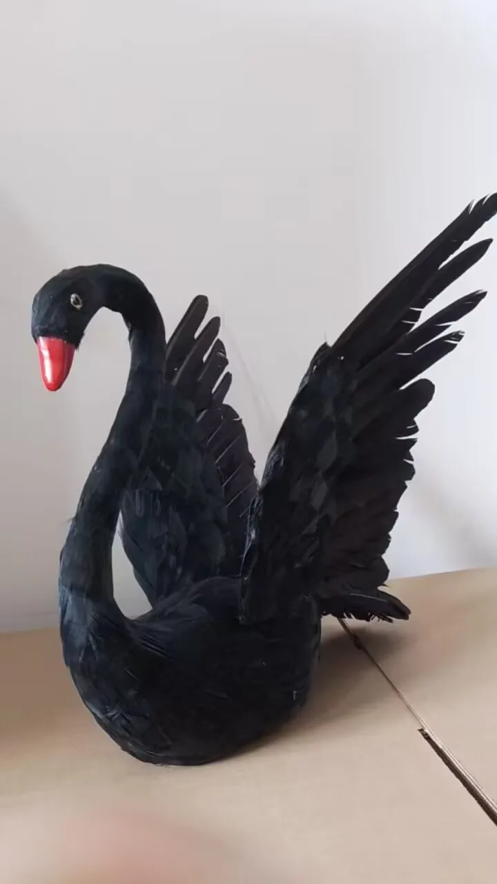 black simulation wings swan model foam&feather swan toy gift about 30x50cm d0115