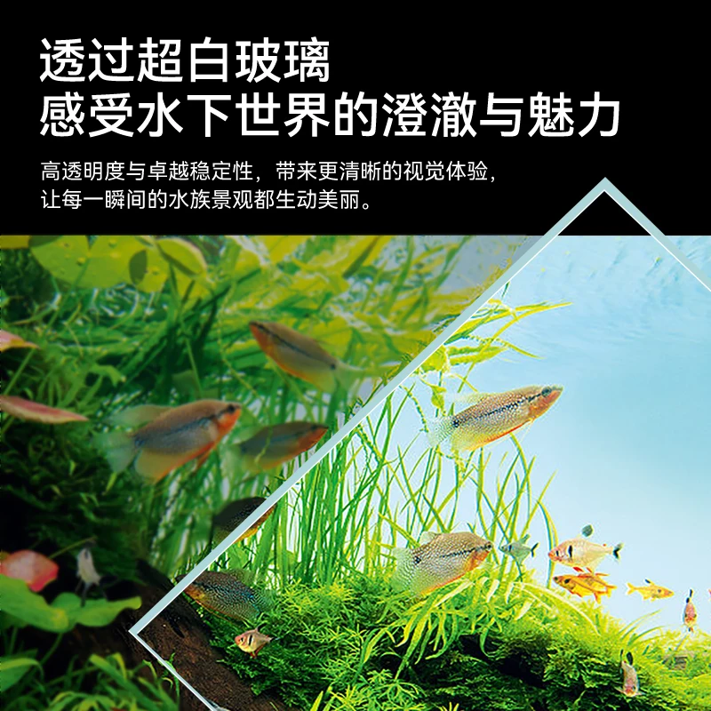 Аквариум для гостиной, новинка – обзор и цена Aquarium Fish Dragon