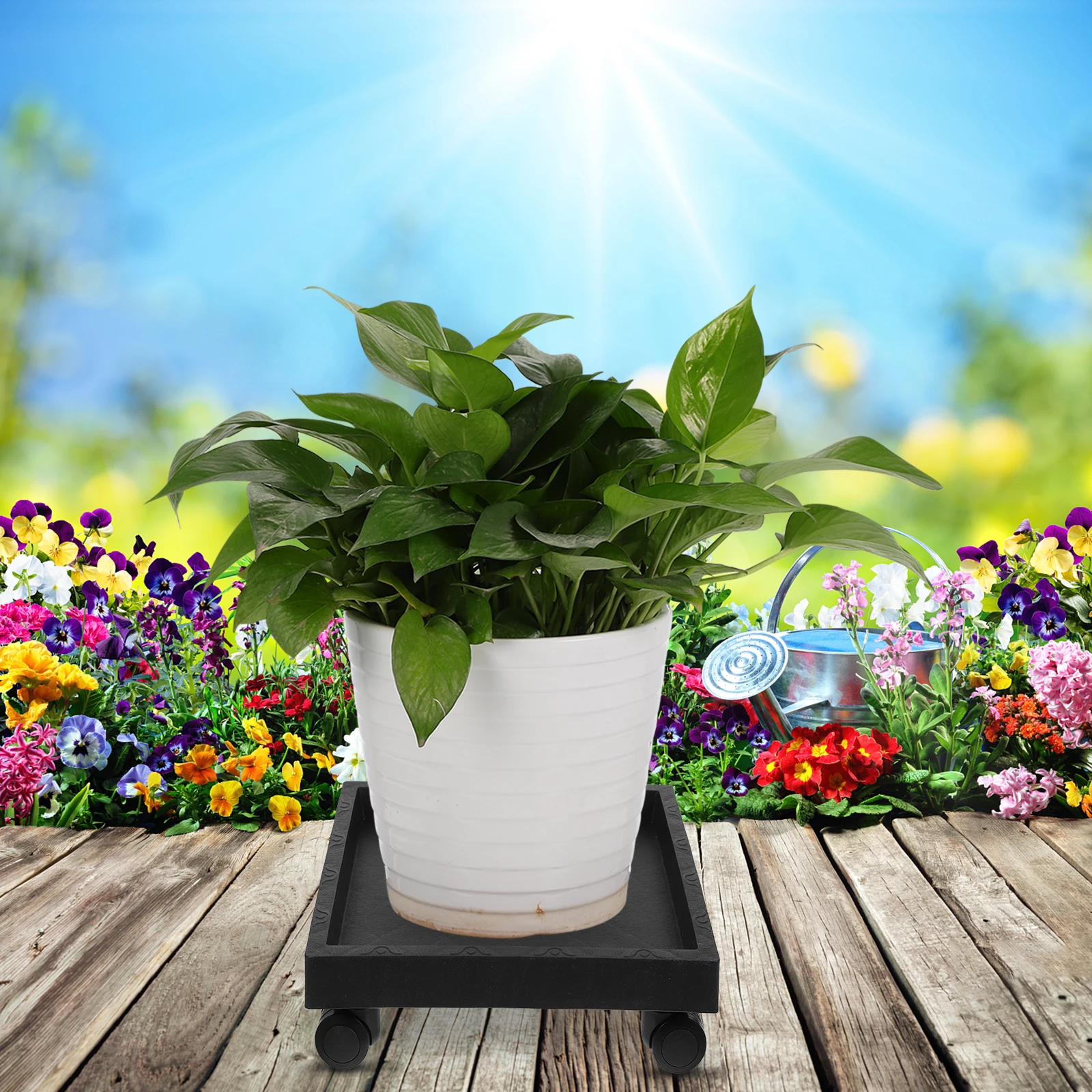 

Outdoor Planters Square Flower Pot Tray Potted Trays Bracket Black Saucer Wheels