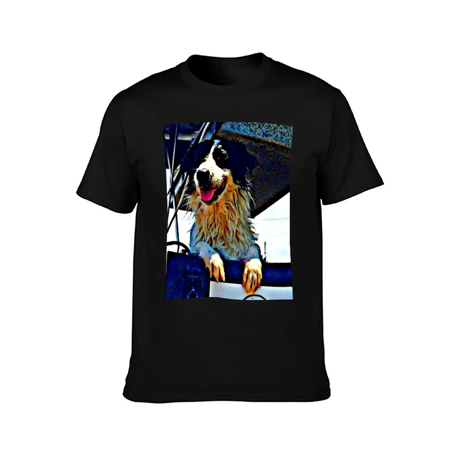 Border Collie, Lucy. Just had a wash. Photo T-Shirt, Summer Casual Cotton Tee, Oversized Streetwear Tops, Vintage Graphic Print