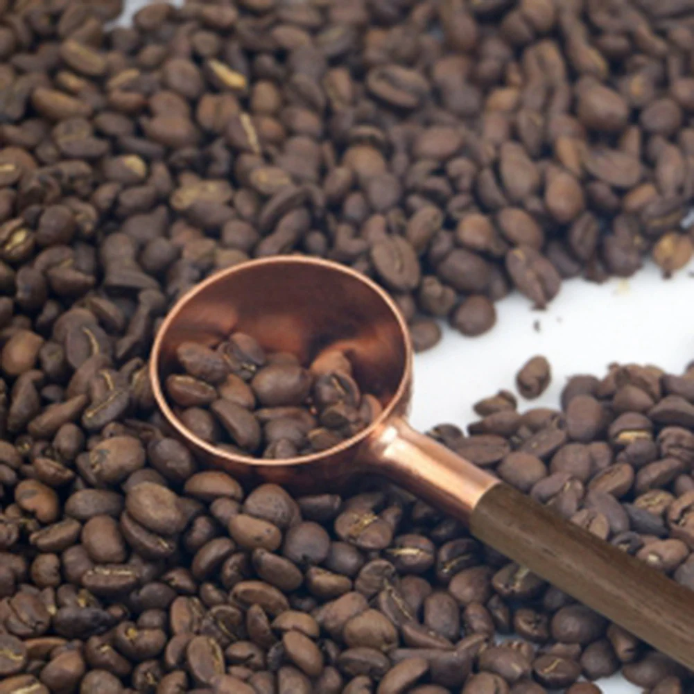 

JLMC Coffee Bean Measuring Spoon Solid Wood Copper Measuring Spoon Coffee Powder Quantitative Spoon Measuring Spoon 10G